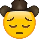 cowboypensive