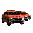 cc