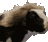 w_prettycowhair