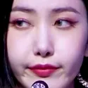 sinb_sus