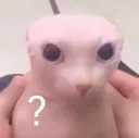 owo