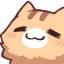 CatComfy