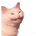 wha Discord emoji