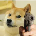 Doggo_Shoot