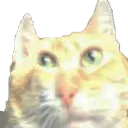 catachovsmisle catachovsmisle