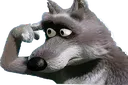 volk