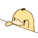 duckbongo duckbongo