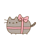 Pusheen_Present