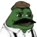 S_lepepe Discord Emoji