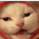 Hehecat hehecat Discord Emoji