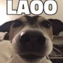 laoo