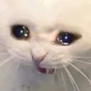 aaaacat