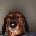 squintyeyeemojiwithtwopeace