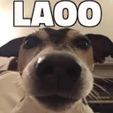 laoo