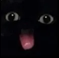 Cat_Blelele_retrasados Discord Emoji