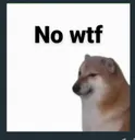 nowtf