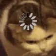 catbuffering