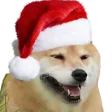 xmasboye