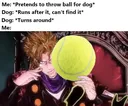 Dumbdog