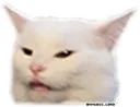 Confused Cat confusedCat Discord Emoji