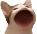 catLUL