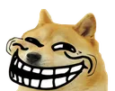 dogetroll