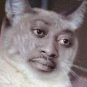 Chadcat
