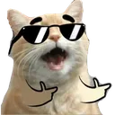 Yo_boii