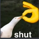 Shut