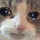CryingSnipo