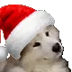 santadog