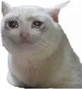 sad_cat Discord Emoji