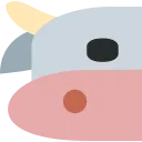 coo