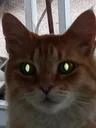 menancing_eyes menancing_eyes