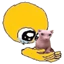 bingushold bingushold