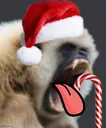 monoCHRISTMAS