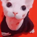 BINGUSSTARE