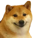 Happydoge happydoge Discord Emoji