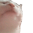 :744106029955940419: