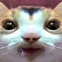 eeheehee eeheehee