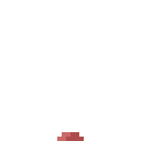 PP