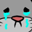 shoCry