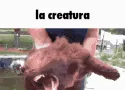 j_la_creatura j_la_creatura