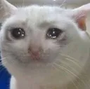 sad