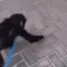 monkehug monkehug