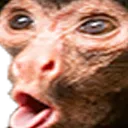 ApePog ApePog
