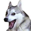 pundog Discord emoji