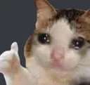 catup