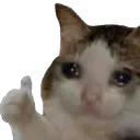 NekoThumbsUp NekoThumbsUp