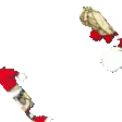 PadoHop8